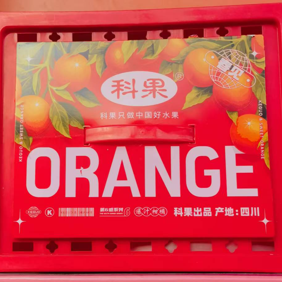 科果春见粑粑柑55元/2500g