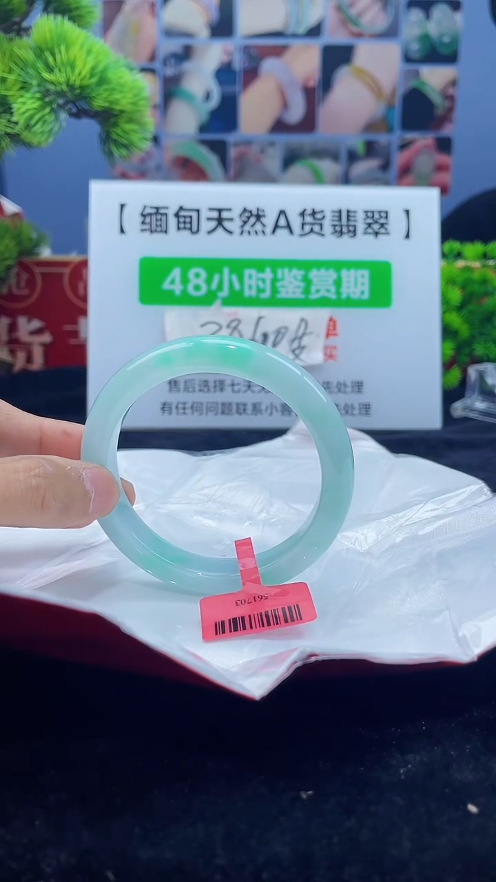 【闪购商品】翡翠手镯未镶嵌手镯5