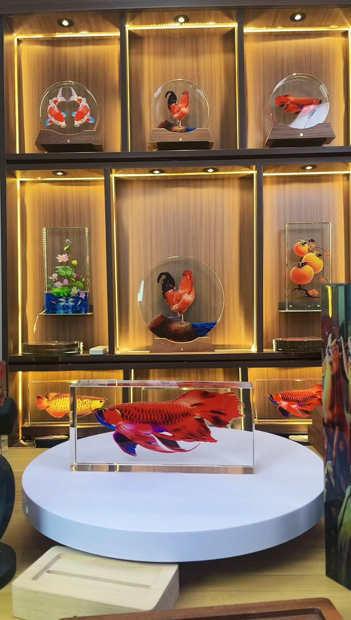 有机玻璃阳***?尺寸24*11*5至尊红龙鱼