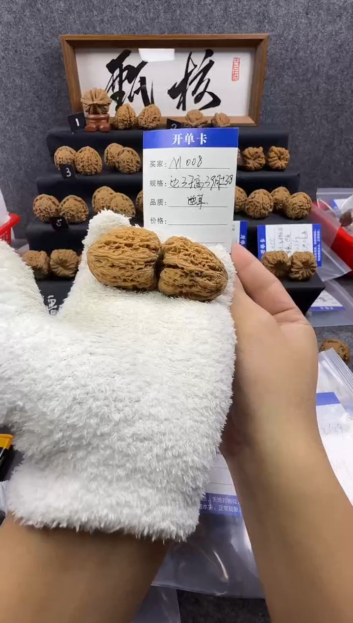 把件文玩核桃M008 37尺逆耳（龟背）