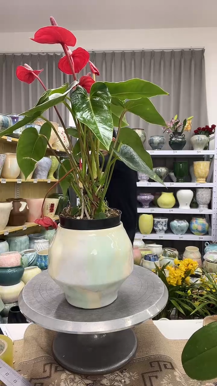 【12.12】花盆链接 高： 14 口：11