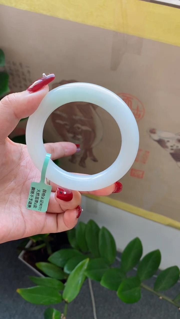 【闪购商品】翡翠手镯未镶嵌（强推 冰胶白月光）胖圆18号