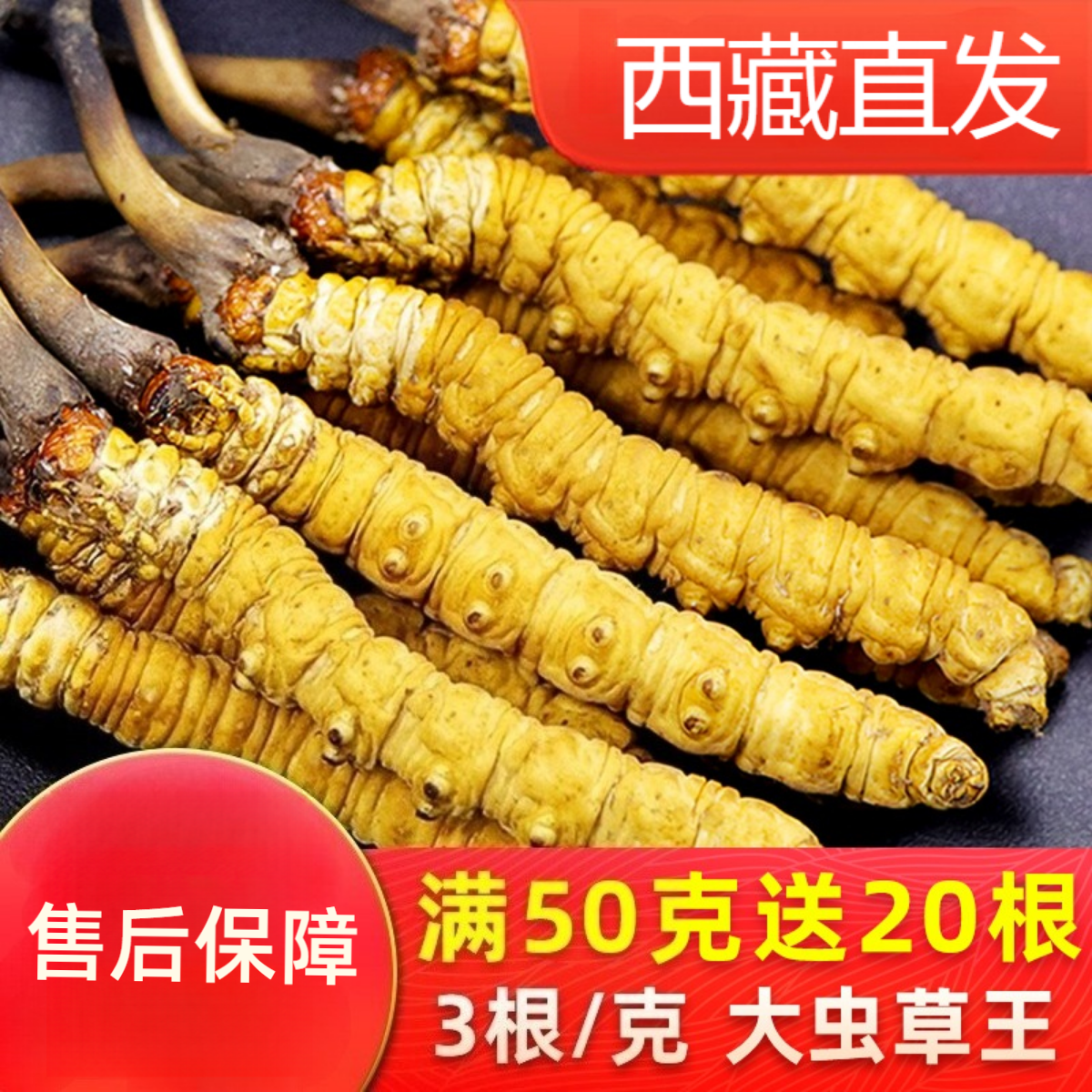冬虫夏草官方10克头期正品干货虫草整条50克礼盒装高海拔西藏直发