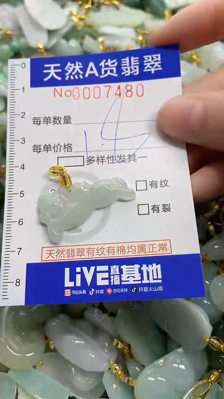 颈饰未镶嵌翡翠天然A货翡翠