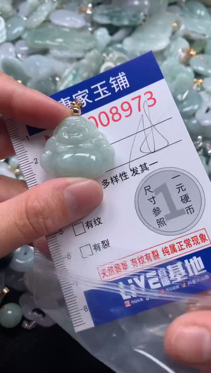 颈饰未镶嵌翡翠8973