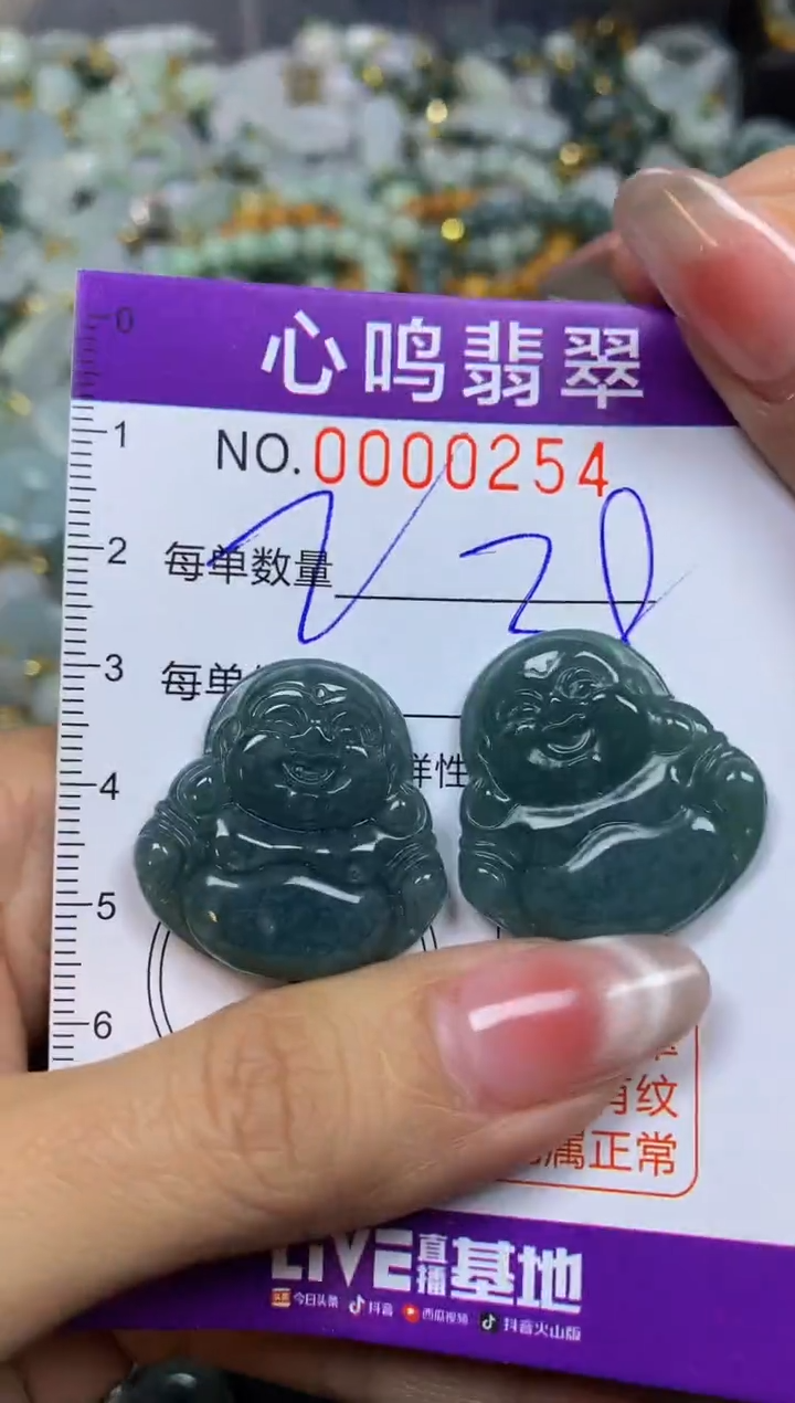 【闪购商品】翡翠颈饰未镶嵌闪购00254