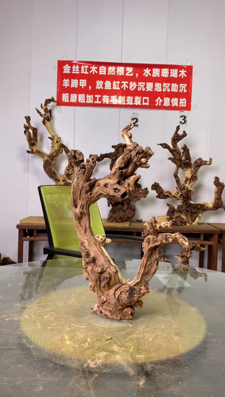 【闪购商品】木金丝红木 羊蹄甲 