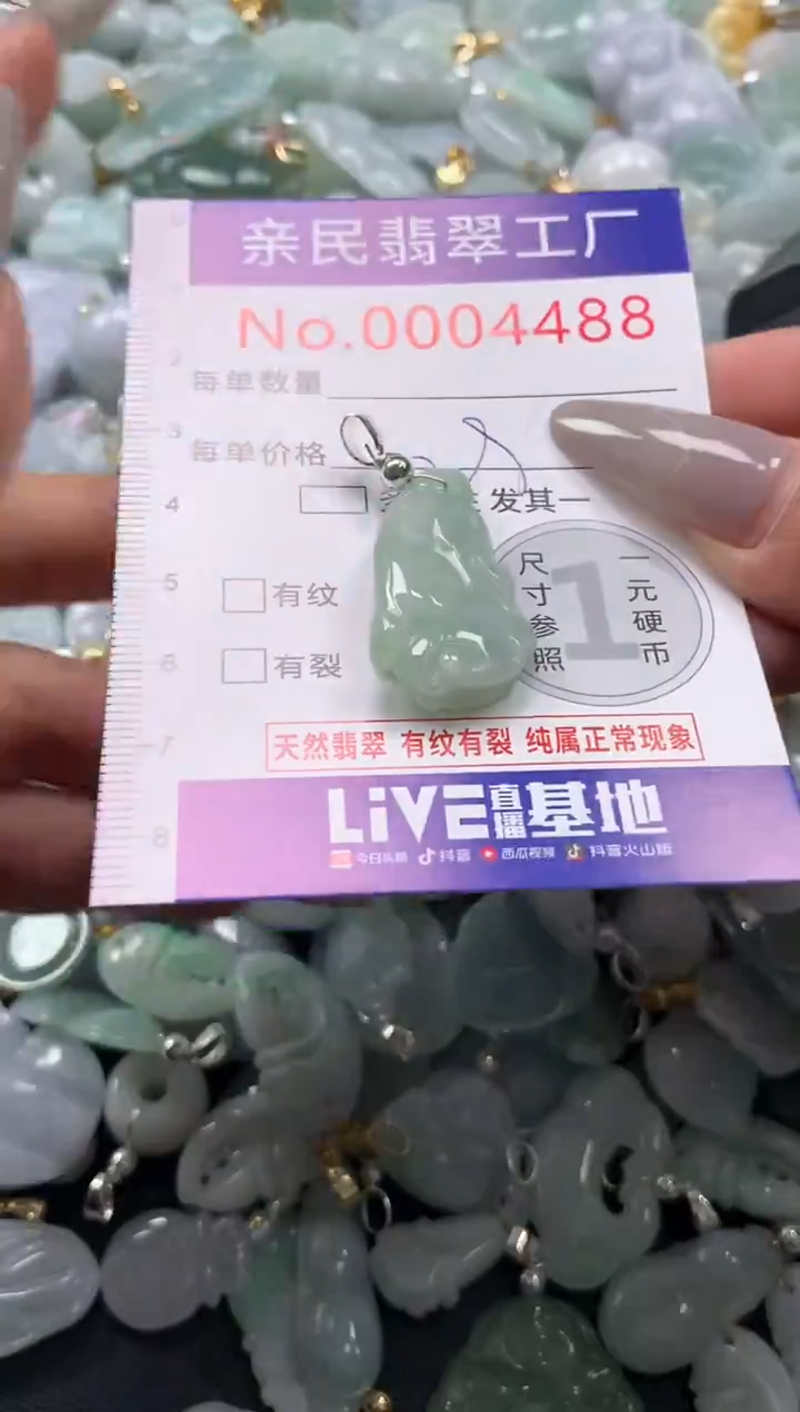颈饰未镶嵌翡翠4488