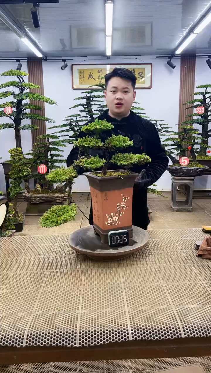 【闪购商品】00000000000