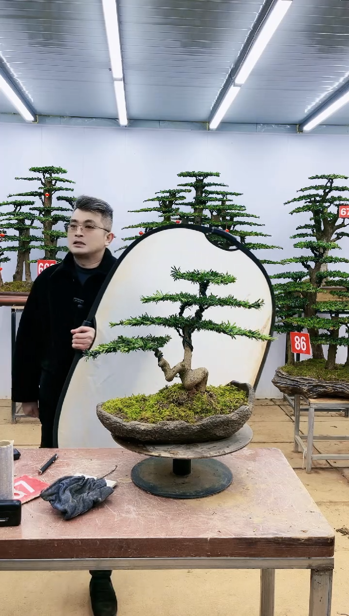 【闪购商品】一物一拍，所见即所得