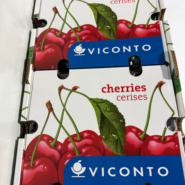 桑提娜-智利3JD车厘子(2斤装)海运桑提娜智利