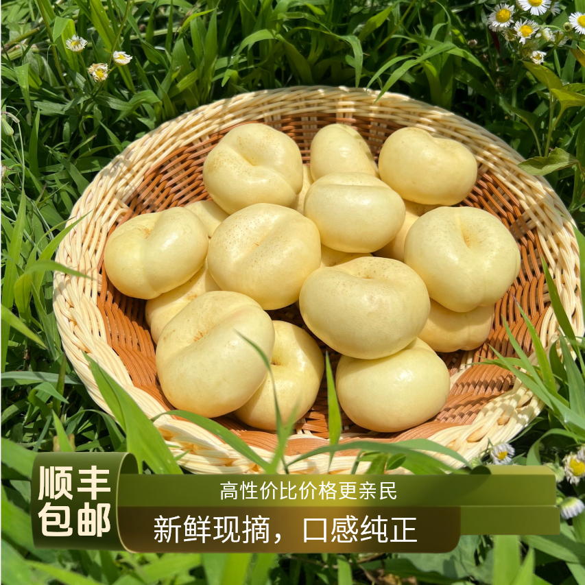 山东蒙阴新鲜现摘奶油蟠桃当季水果脆甜多汁夏日尝鲜