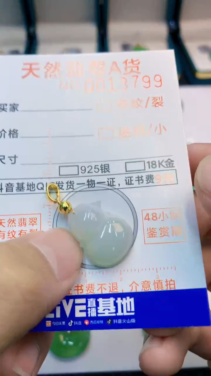 翡翠未镶嵌吊坠(不含链)1