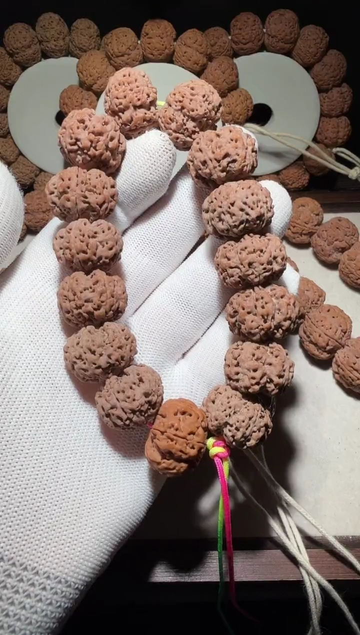 【闪购商品】金刚菩提手串平头矮桩粗筋双龙21