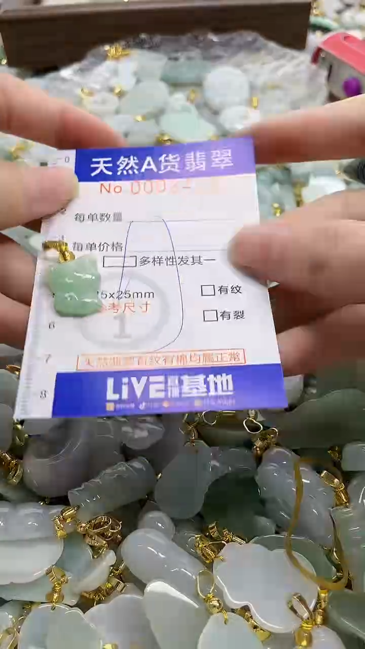 颈饰未镶嵌翡翠天然A货翡翠