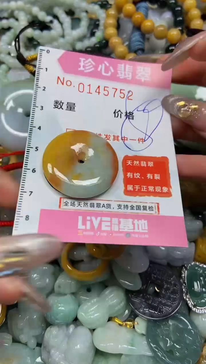 【闪购商品】翡翠颈饰未镶嵌闪购0145752
