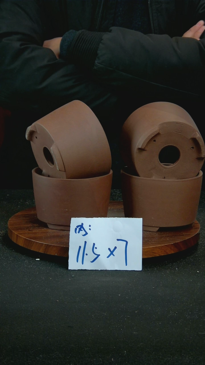 【闪购商品】紫砂S118
