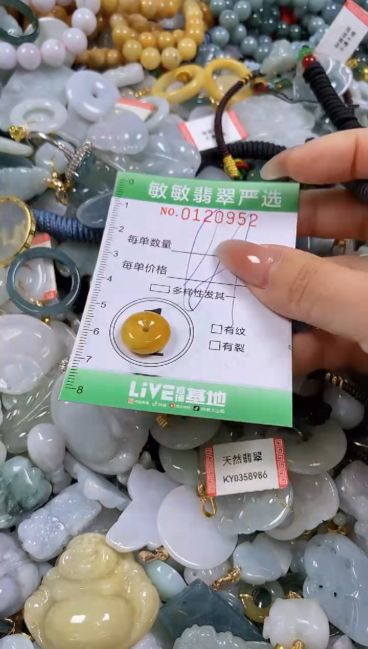 【闪购商品】翡翠颈饰未镶嵌闪购0120952
