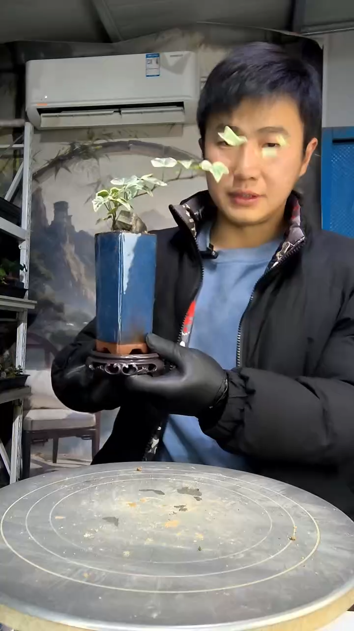 远***来中青园艺一物一拍花199