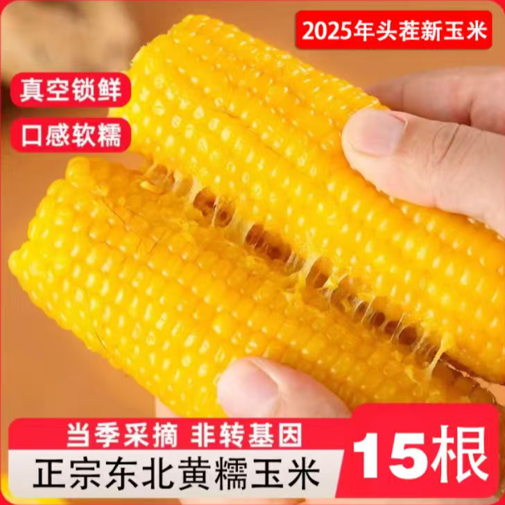 【抢黄糯玉米15棒】东北产地直发正宗糯玉米软糯香（试吃6根）邱祗