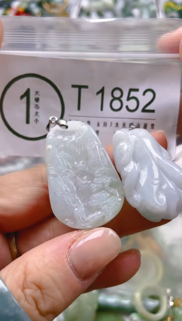 【闪购商品】翡翠颈饰未镶嵌/T/翡翠A货一图一物