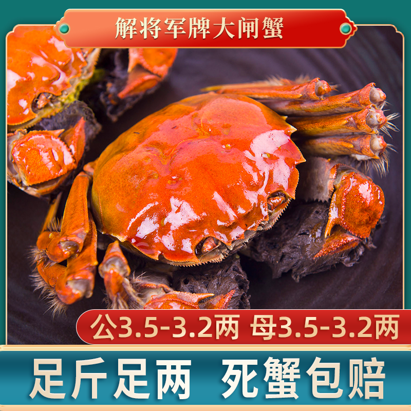 【活蟹】【解将军牌】公3.5-3.2两 母3.5-3.2两 买8送2 到手10只