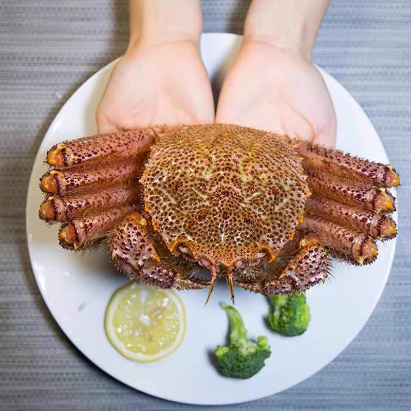 俄罗斯红毛蟹毛蟹生猛鲜活可刺身｛直播间称重｝