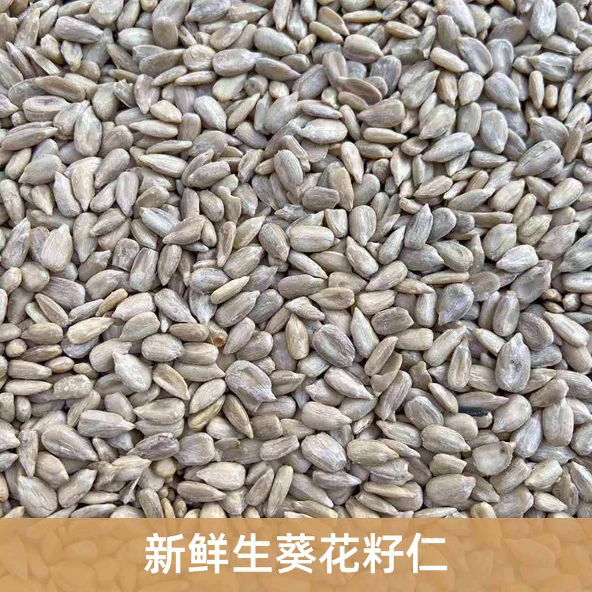 新货鸟粮鸟食小瓜子仁脱壳瓜子仁油葵籽鹦鹉鸟食仓鼠零食专用鸽粮