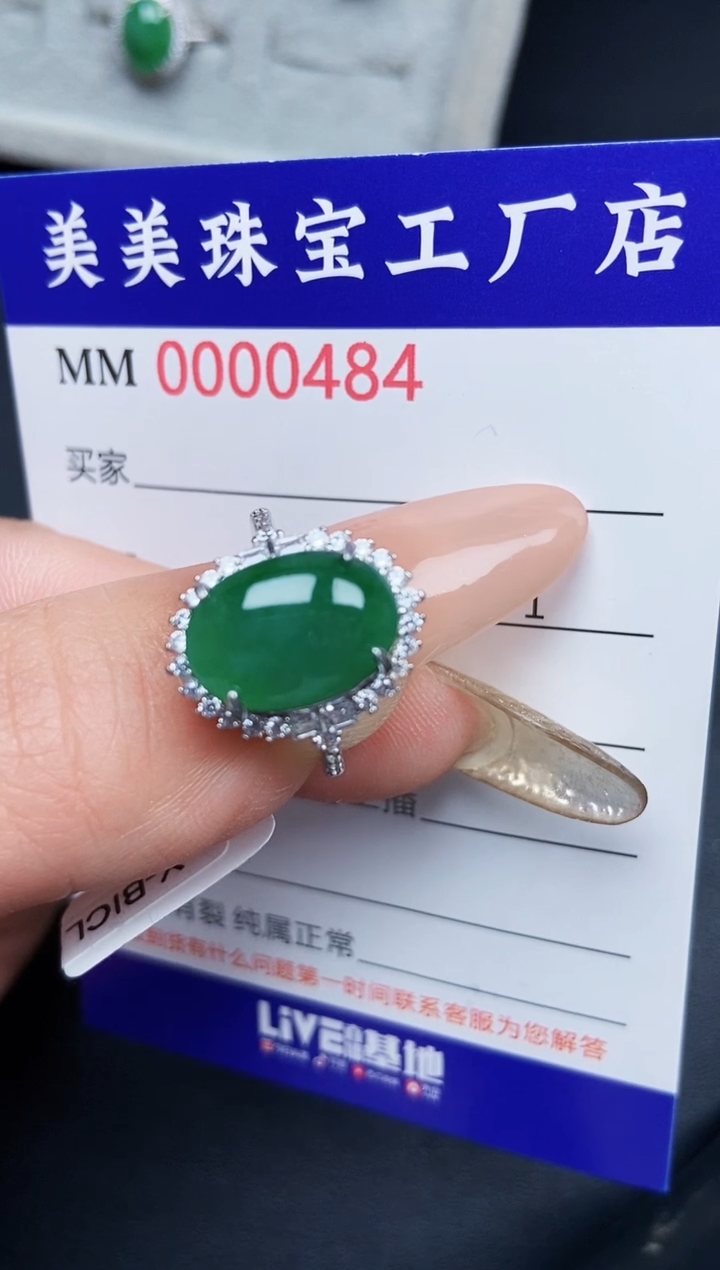 【闪购商品】翡翠颈饰银S925镶嵌0484