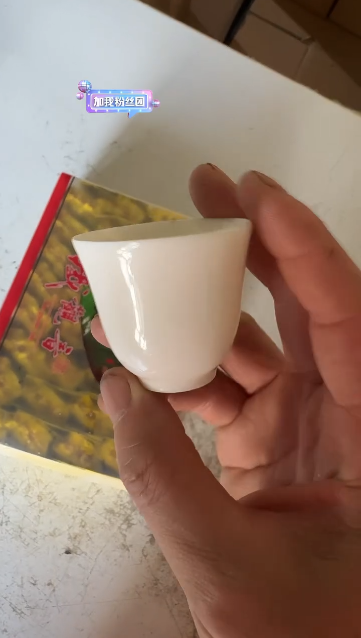 正味31泡主人杯·