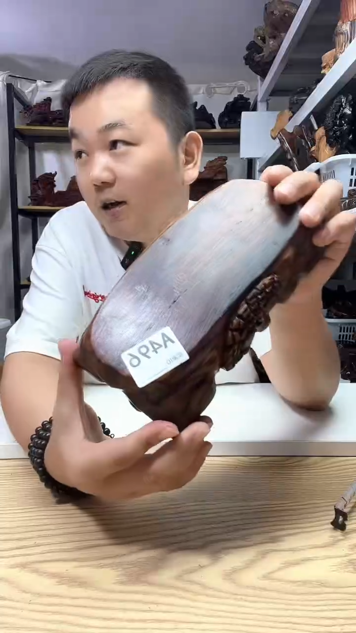 木496-------------