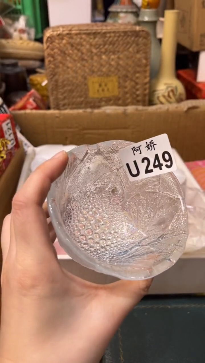 【闪购商品】瓷片249 安豆豆 安豆豆 安豆豆