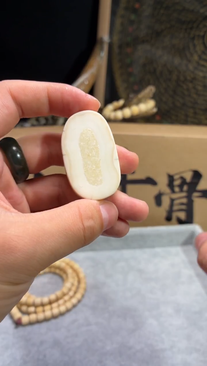 手串/手链/手镯猛犸象牙QB119 虬系列饼子