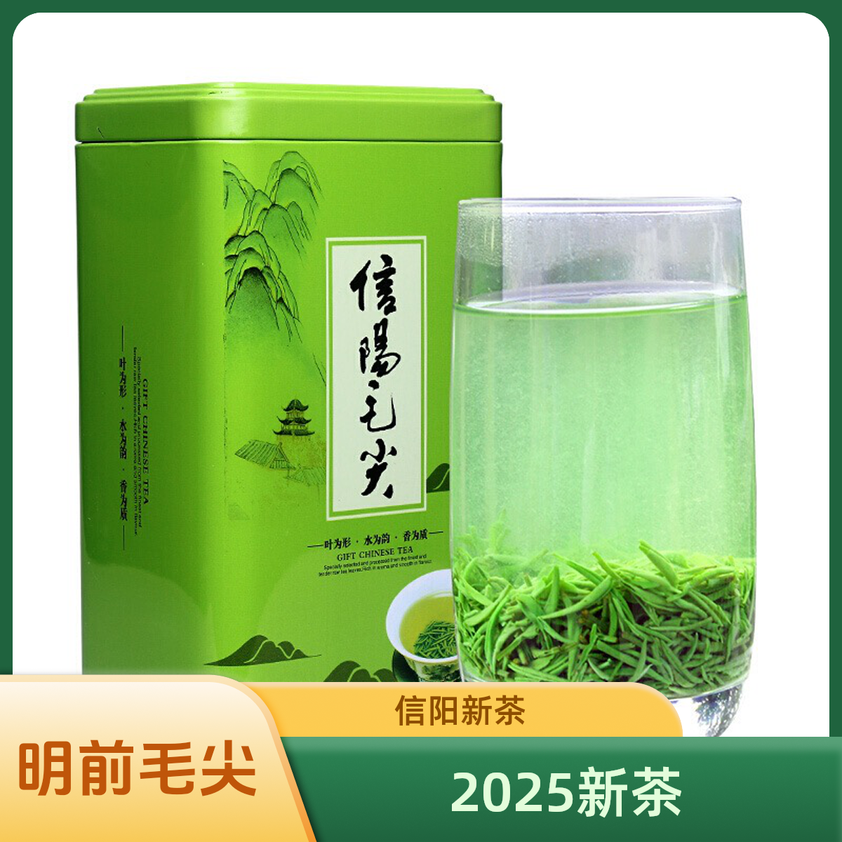 [明前精选小芽]信阳毛尖绿茶2025茶叶清香鲜爽新茶回甘