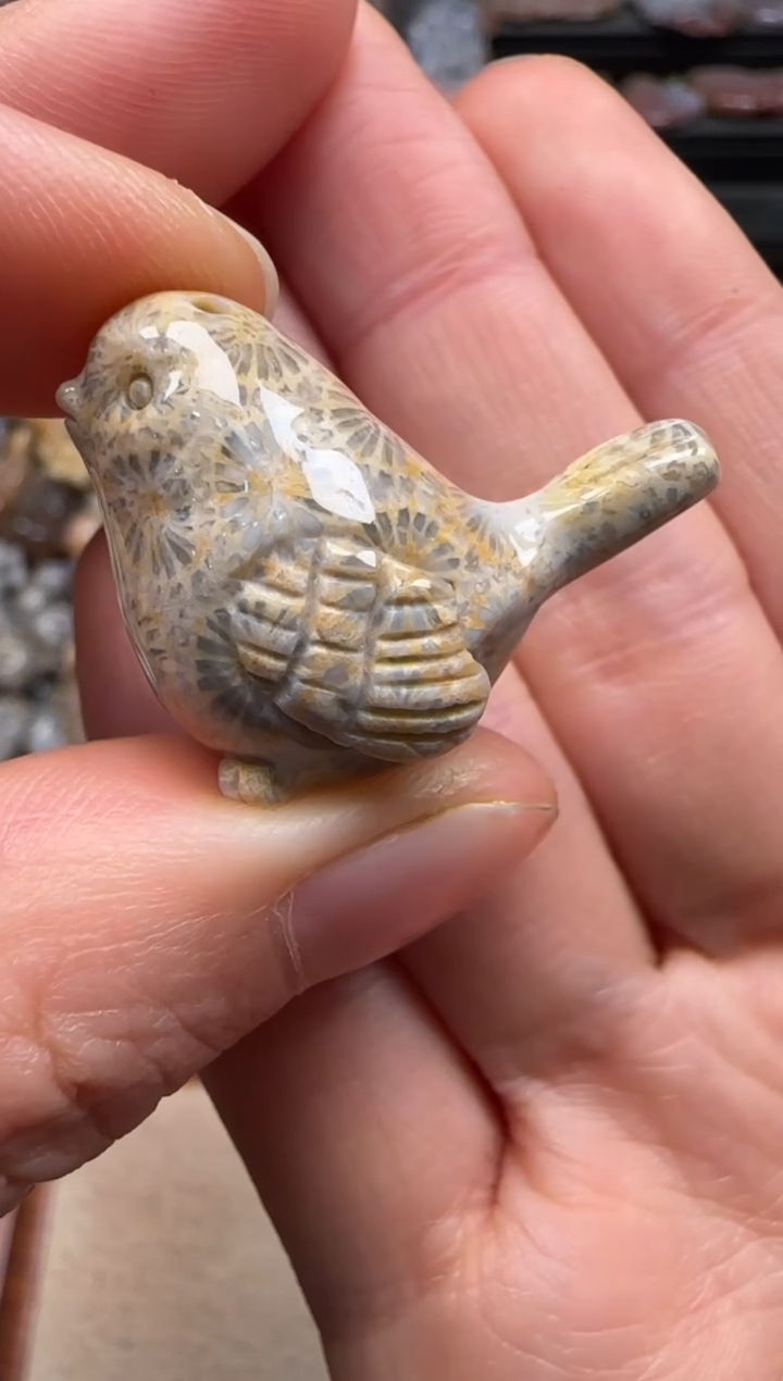 【闪购商品】硅化珊瑚（珊瑚玉）颈饰未镶嵌466