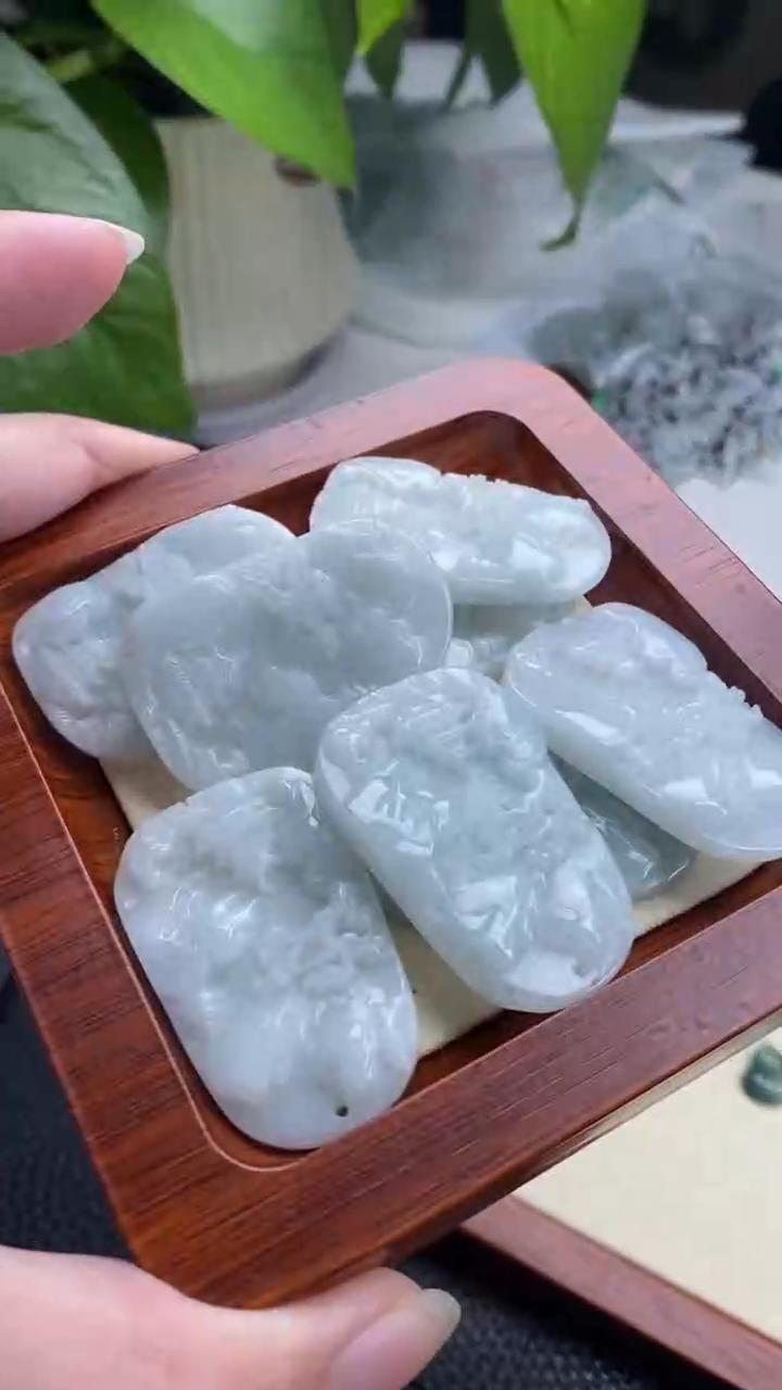 【闪购商品】翡翠颈饰未镶嵌多样性发其一