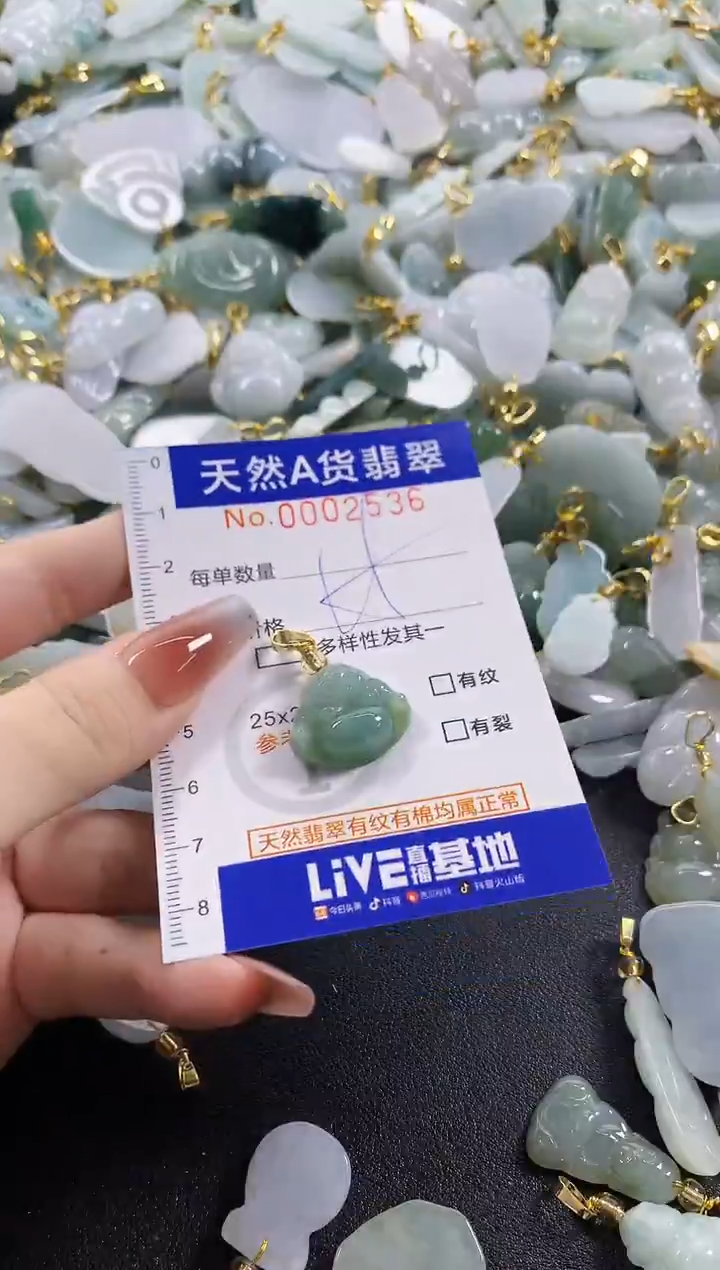 颈饰未镶嵌翡翠天然A货翡翠