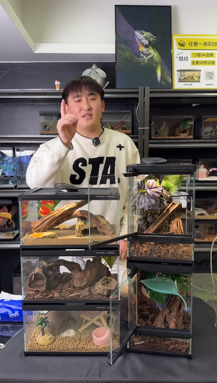 兔仔专拍（木头）7姐发货