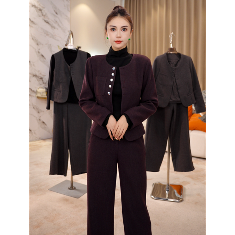 G9393时尚休闲套装女2025秋冬新款洋气显瘦圆领外套阔腿裤三件套