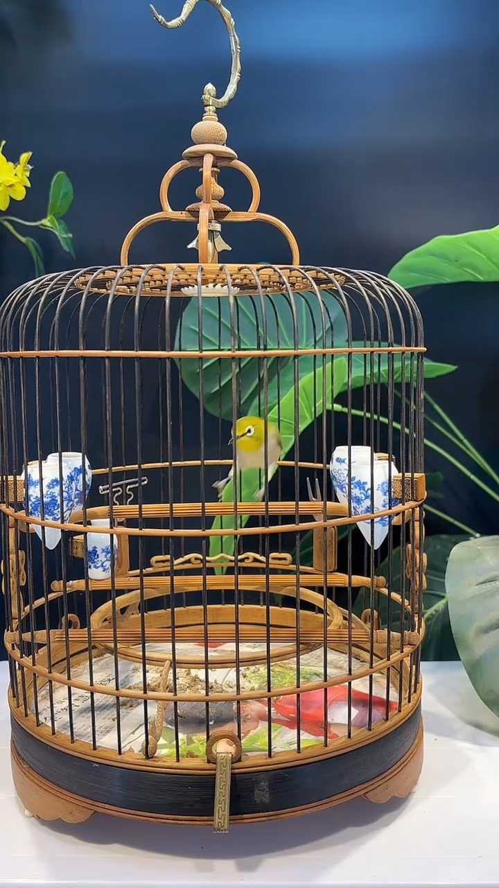 21号秀秀精品老竹笼