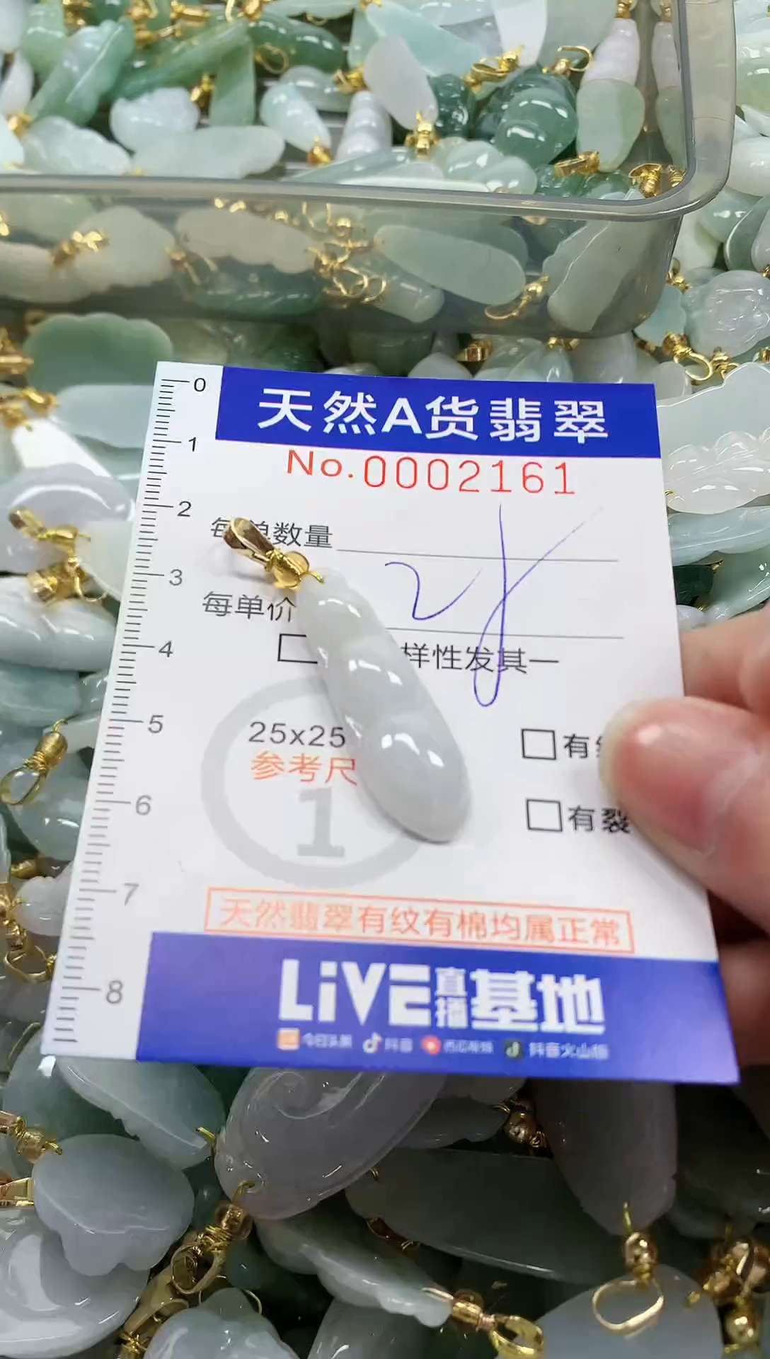 颈饰未镶嵌翡翠纯天然a货翡翠