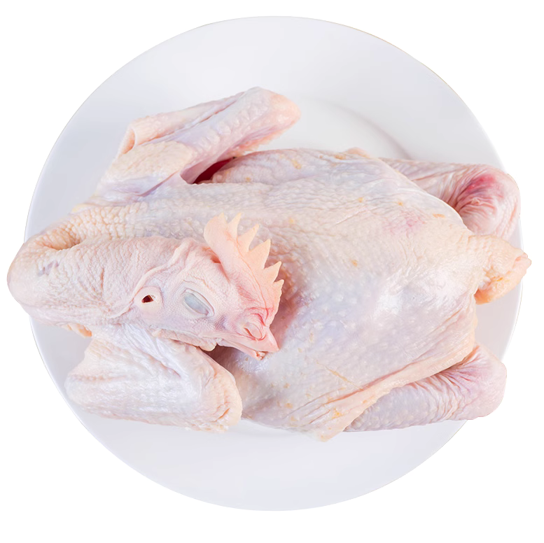 散养产蛋王白来航整鸡一斤左右