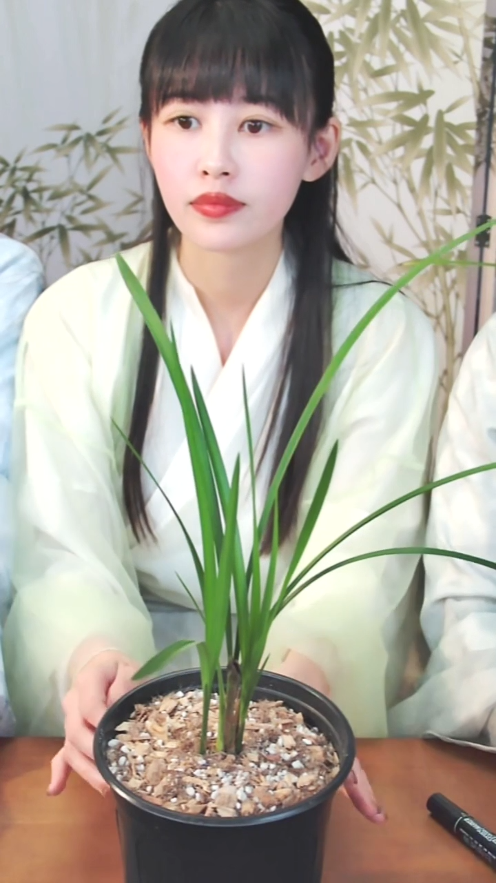 完全开放美丽之冠直播间一物一拍