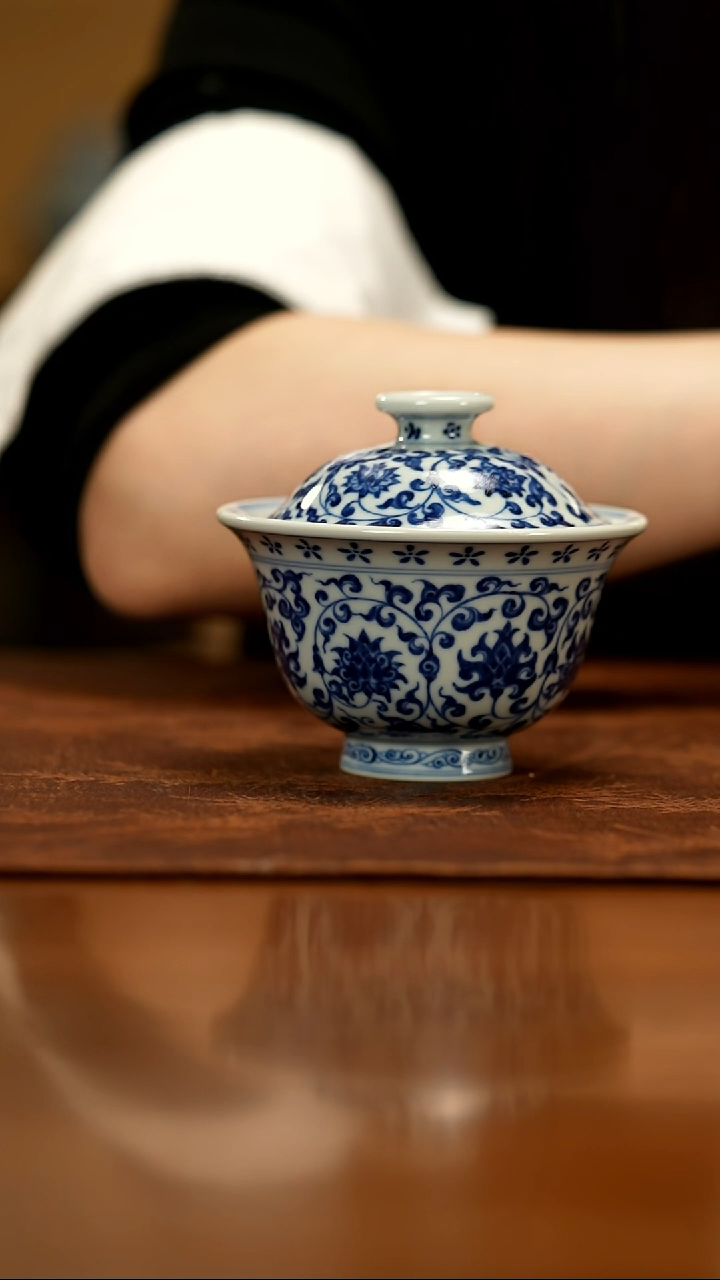 【闪购商品】瓷片春生                  