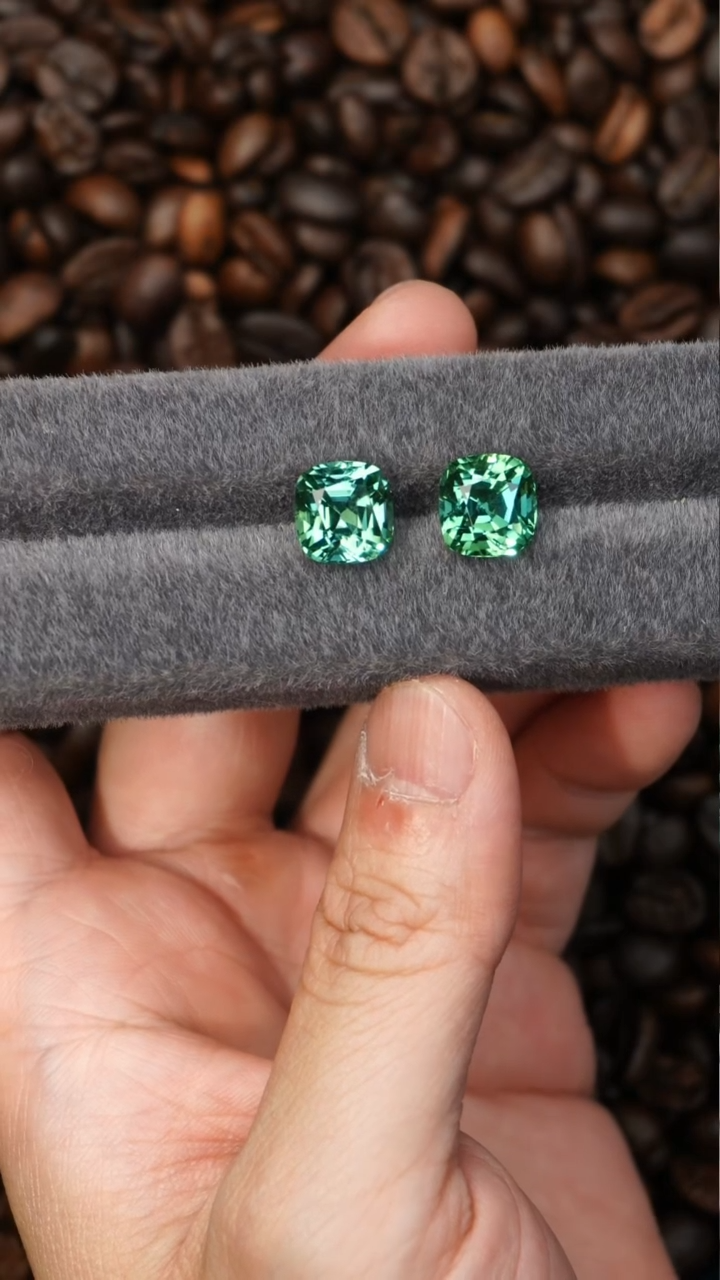 【闪购商品】碧玺裸石未镶嵌12.81ct/2p