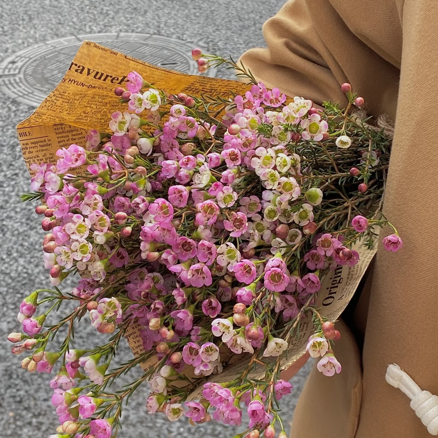 【腊梅】年宵花任意拍两单升级顺丰三单送配草云南鲜花基地直发