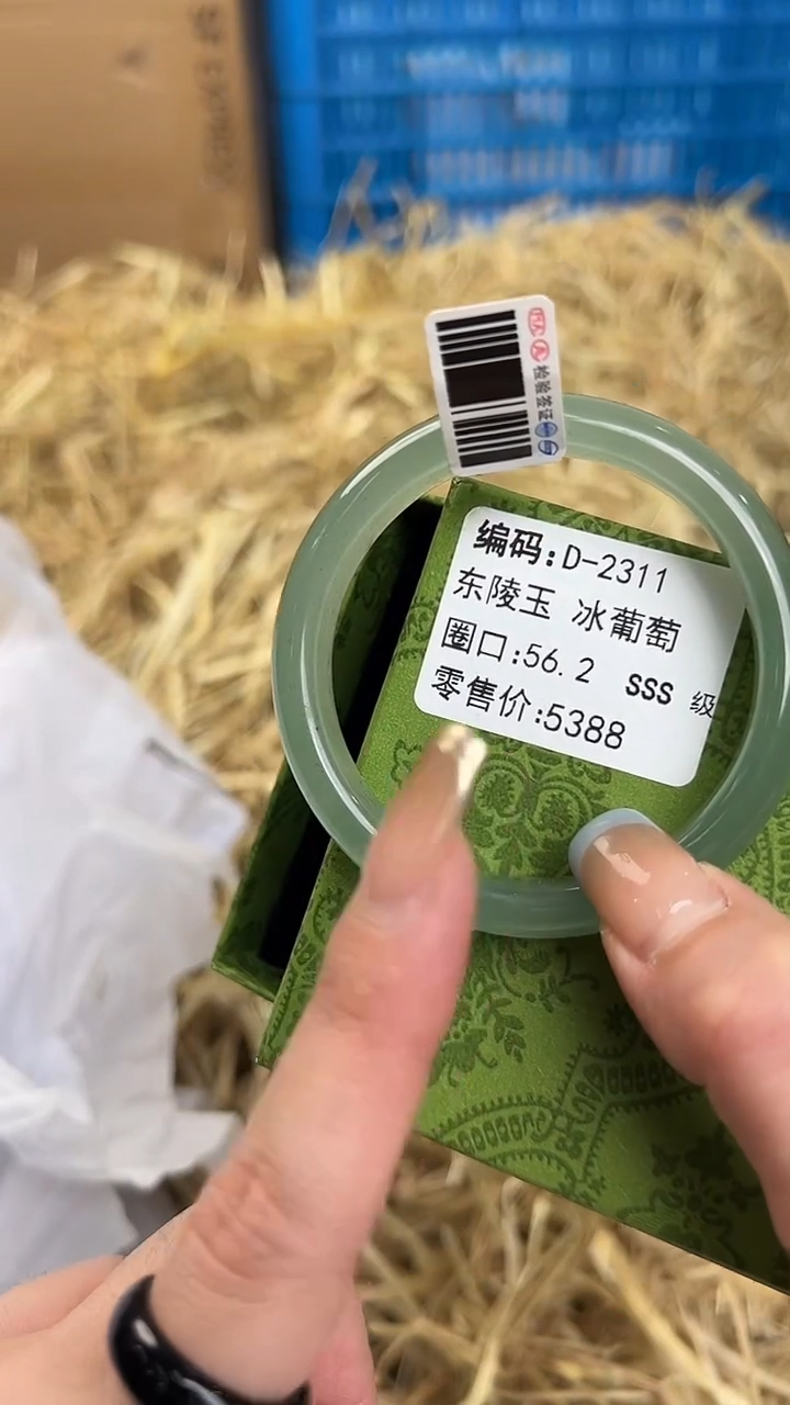 未镶嵌手镯石英质玉D-2311