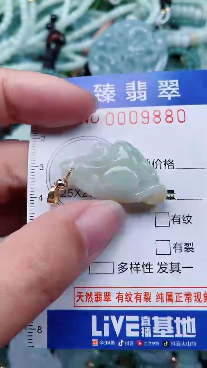 颈饰未镶嵌翡翠.0009880