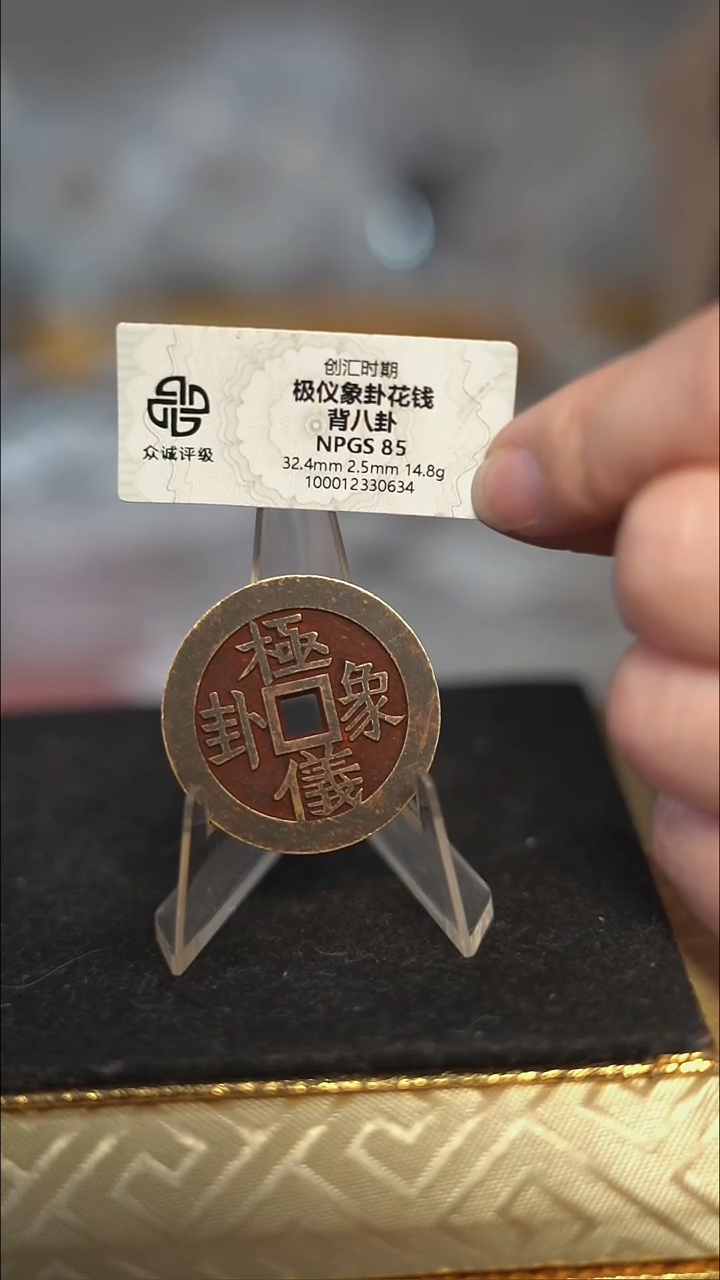 编号257极仪（配脖挂）