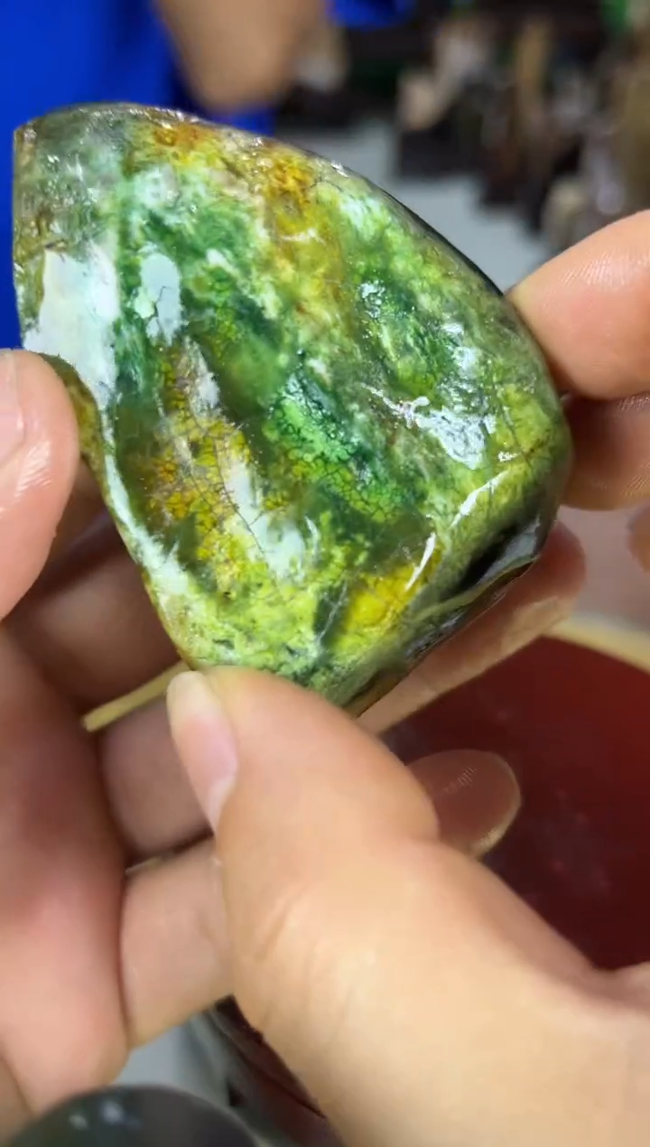 未镶嵌珠宝奇石硅化玉缅甸天然树化玉手把件